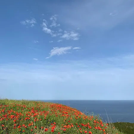 Semesterbostad Campo Di Pace Sisco